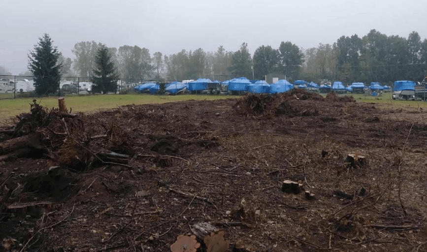 LAND CLEARING