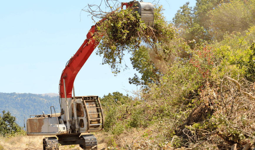 BRUSH CLEARING